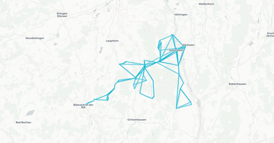 Liniennetz von Fromm