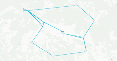 Liniennetz von Gemeinde Ringgau