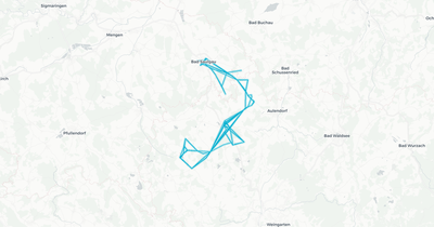 Liniennetz von Grabherr