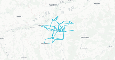 Liniennetz von Gruber