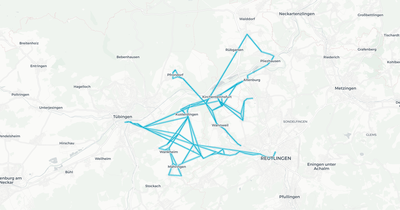 Liniennetz von Hartmann