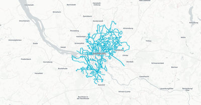 Liniennetz von Hochbahn Bus