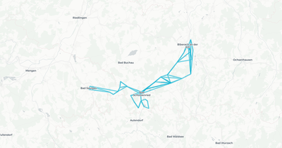Liniennetz von Klemens Diesch