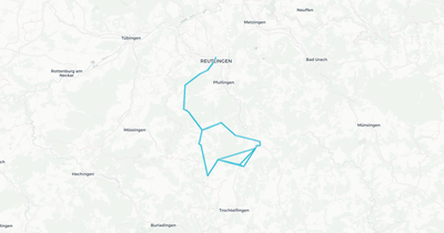 Liniennetz von Leibfritz