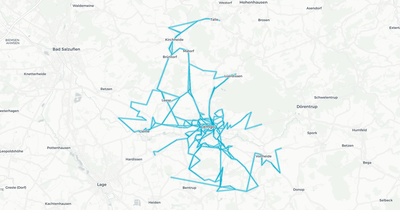 Liniennetz von Lemgo