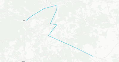 Liniennetz von Linientaxi