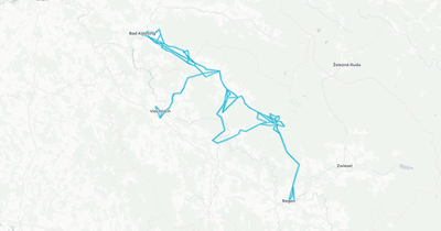 Liniennetz von Linienverkehr1