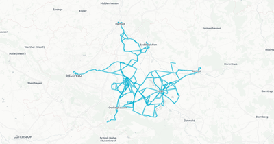 Liniennetz von Lippe1
