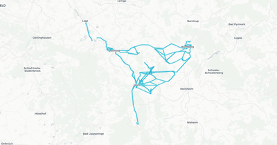 Liniennetz von Lippe2