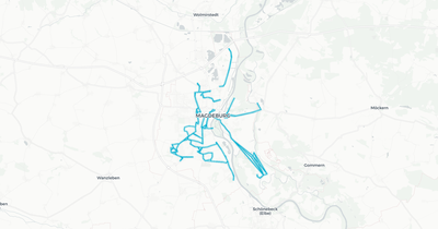 Liniennetz von Magdeburger Verkehrsbetriebe