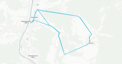 Liniennetz von Miltenberg-Elsavatal