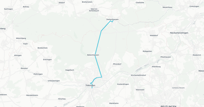 Liniennetz von Müller (FMO)