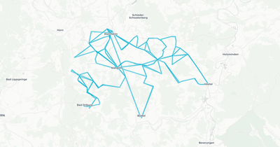 Liniennetz von nph-Linienbündel 09