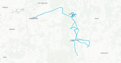 Liniennetz von nph-Linienbündel 10