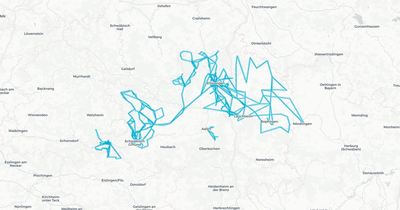 Liniennetz von Ok.go Mobilitäts AG (OKgo)
