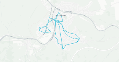 Liniennetz von Omnibusbetrieb Sallwey GmbH