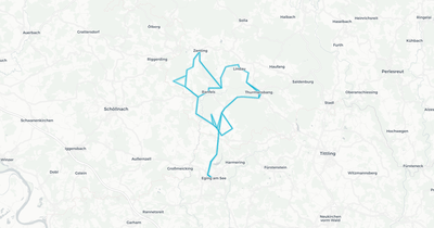 Liniennetz von Pfeffer_Alois