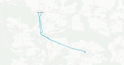 Liniennetz von Privatunternehmer-Bus (Enzkreis)