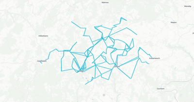Liniennetz von Rhein-Mosel Verkehrsgesellschaft mbH