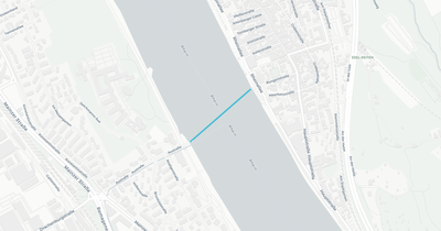 Liniennetz von Rheinfähre Königswinter GmbH