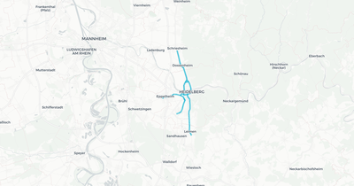 Liniennetz von RNV Heidelberg (Strab)
