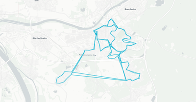 Liniennetz von Rüsselsheimer Mobilität