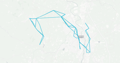 Liniennetz von Schweighart