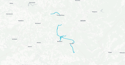 Liniennetz von Sonstige Unternehmen
