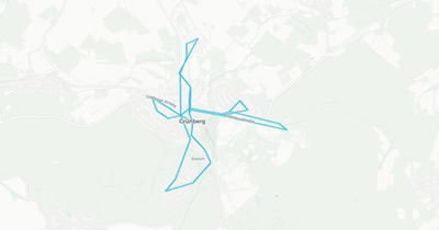 Liniennetz von Stadt Grünberg