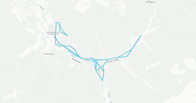 Liniennetz von Stadtwerke Bad Urach