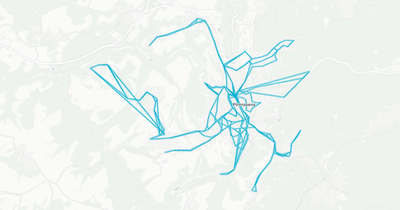 Liniennetz von Stadtwerke Pirmasens