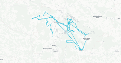 Liniennetz von Überlandlinien Schwandorf