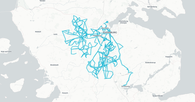 Liniennetz von Verkehrsbetriebe Schleswig-Flensburg GmbH
