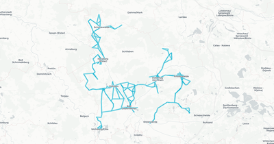 Liniennetz von Verkehrsmanagement Elbe-Elster GmbH