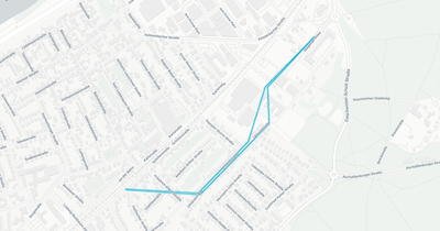 Liniennetz von Via Rhein Main Mobility GmbH