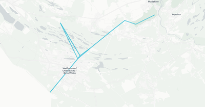 Liniennetz von Waldeisenbahn Muskau