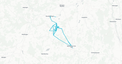 Liniennetz von Walk