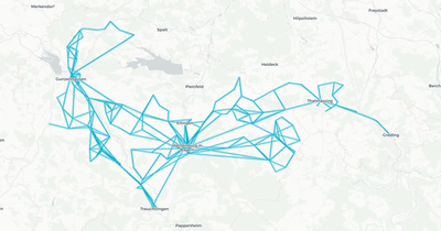 Liniennetz von Weissenburg