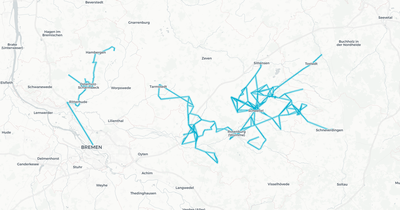 Liniennetz von Weser-Ems-Bus Betrieb Bremen
