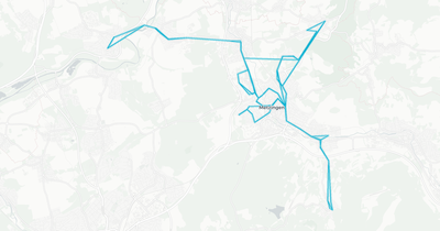 Liniennetz von Wilhelm Lutz Omnibusverkehr GmbH