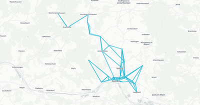 Liniennetz von Will