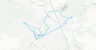 Liniennetz von Wyker Dampfschiff Reederei