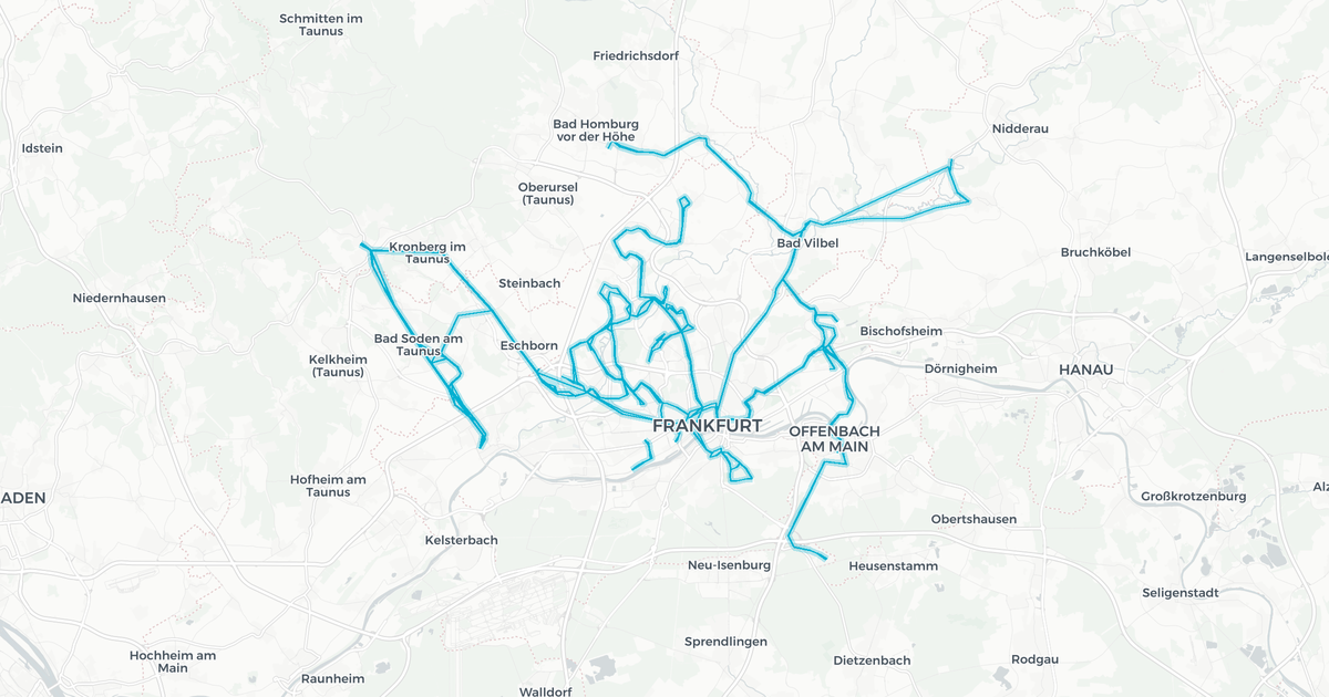 Liniennetz von Transdev Rhein-Main