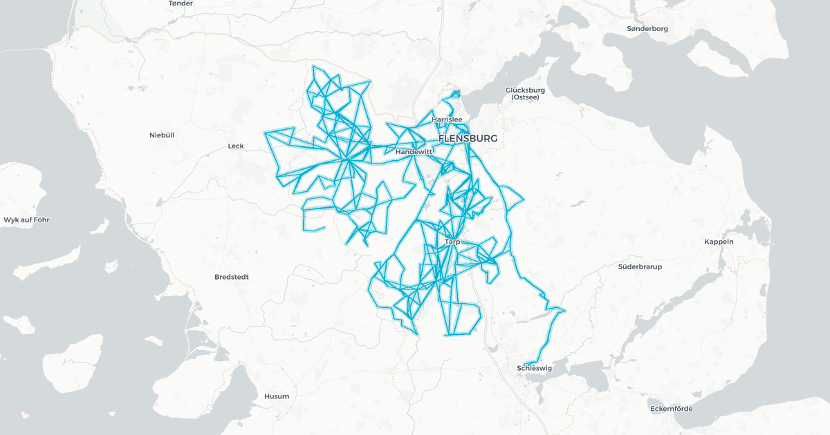 Liniennetz von Verkehrsbetriebe Schleswig-Flensburg GmbH