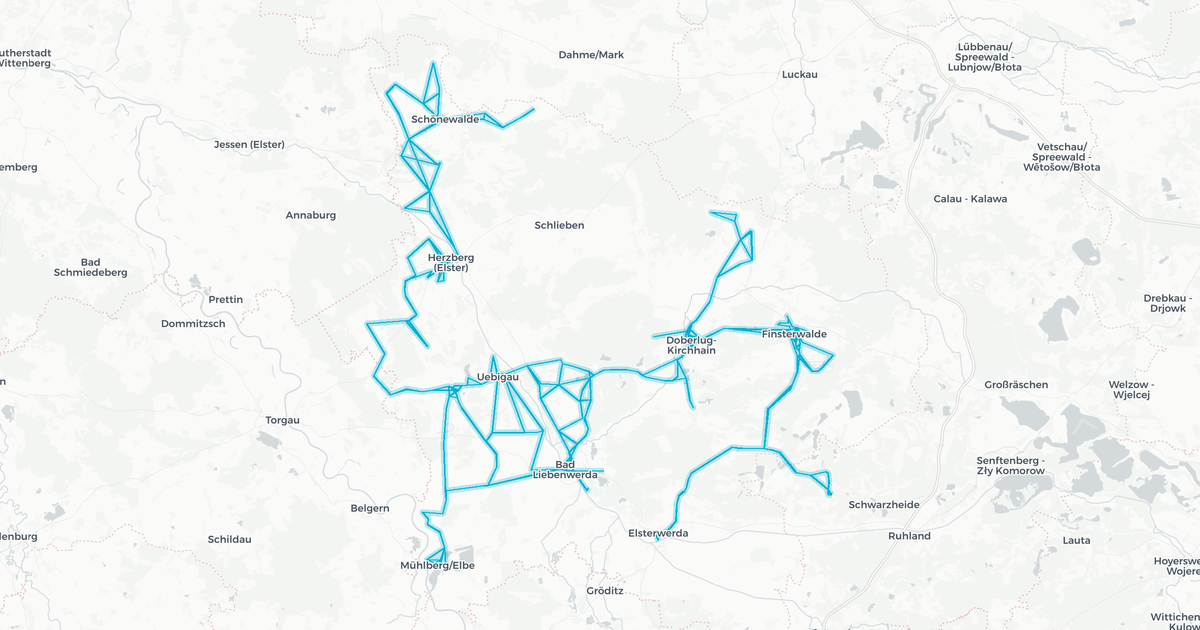 Liniennetz von Verkehrsmanagement Elbe-Elster GmbH