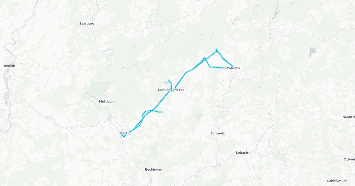 Liniennetz von Zarth GmbH1
